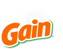 Gain_2013_logo